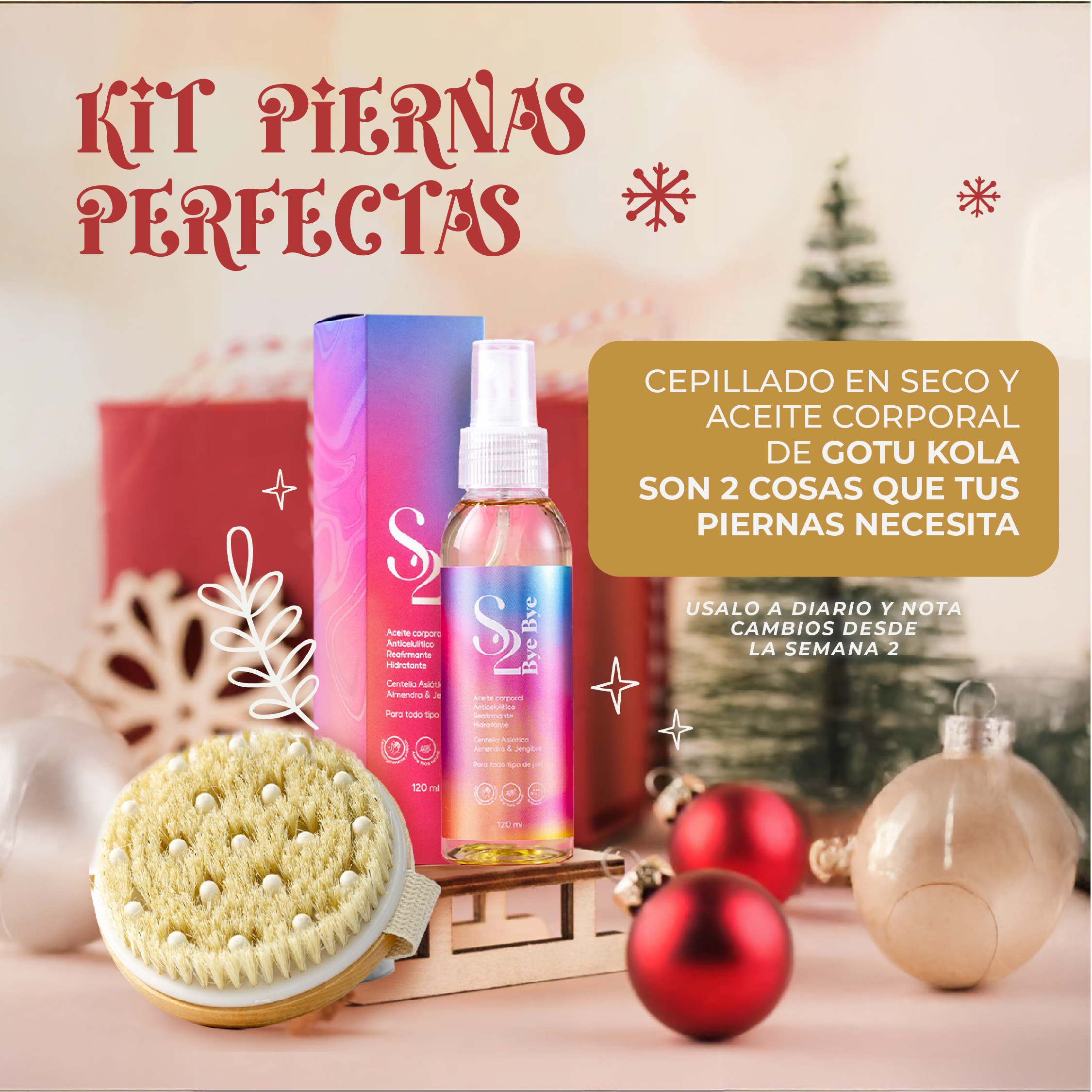 diciembre bye bye 2025-03