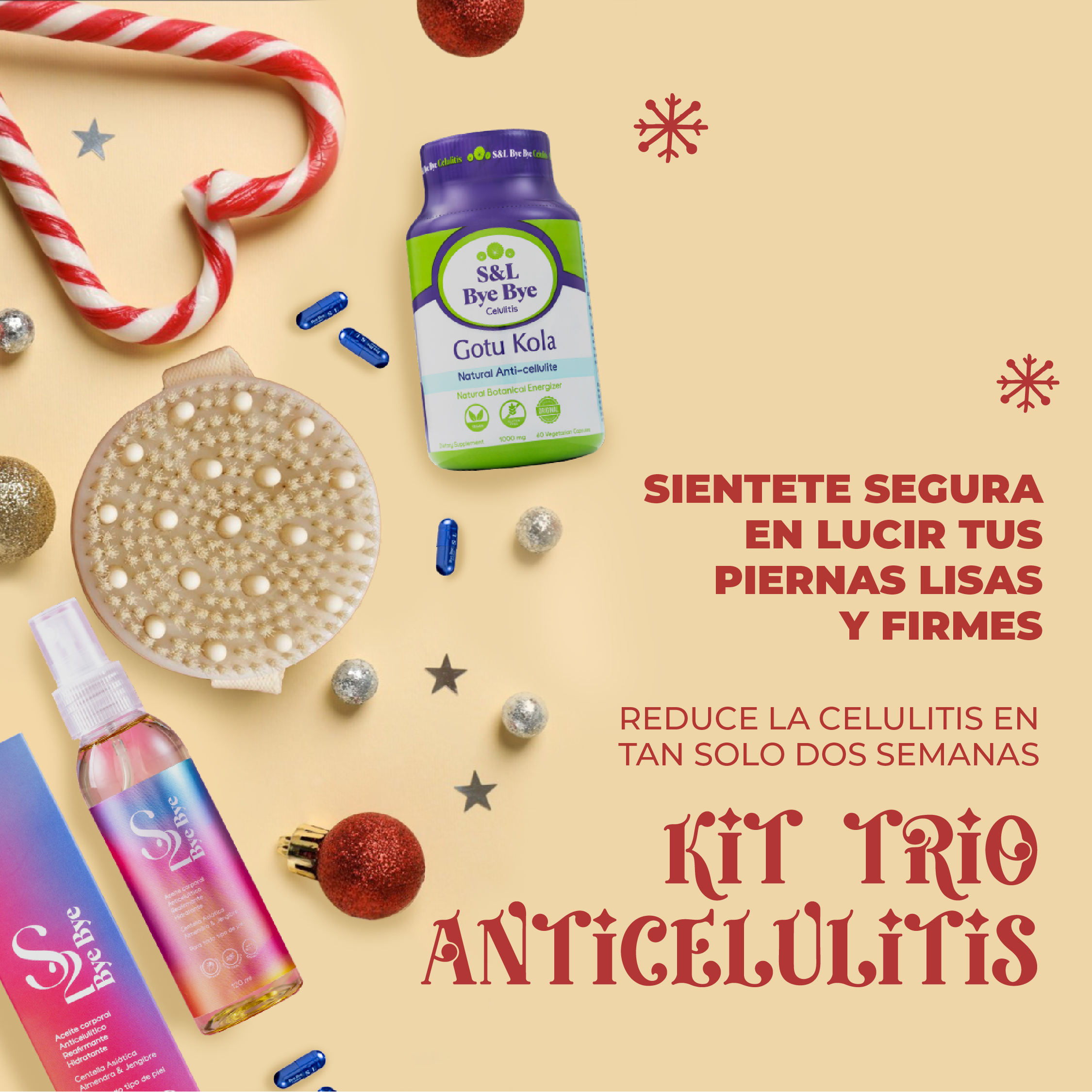 diciembre bye bye 2025-02